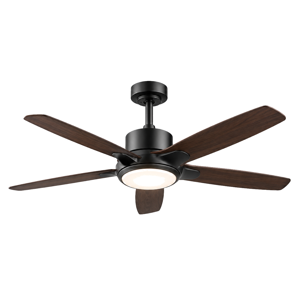 Ceiling fan
